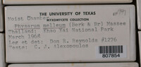 Image Associated With the Occurence